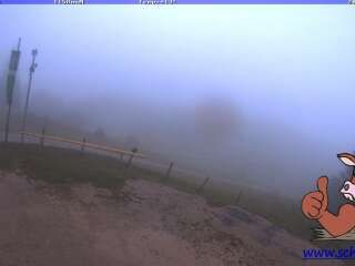 Ternberg › East: Hohe Dirn