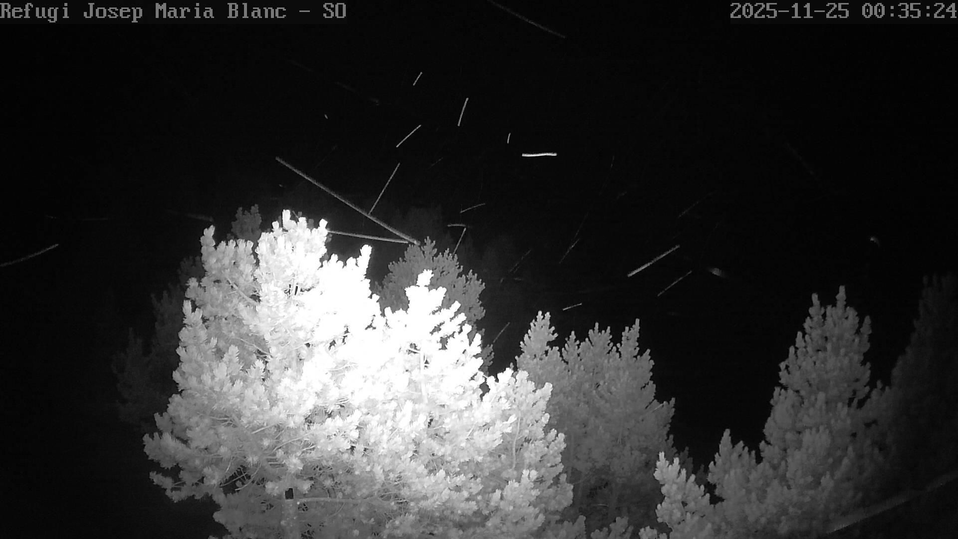 Espot › South-West: Refugi J M Blanc - Estany Tort de Peguera - Pic de Peguera