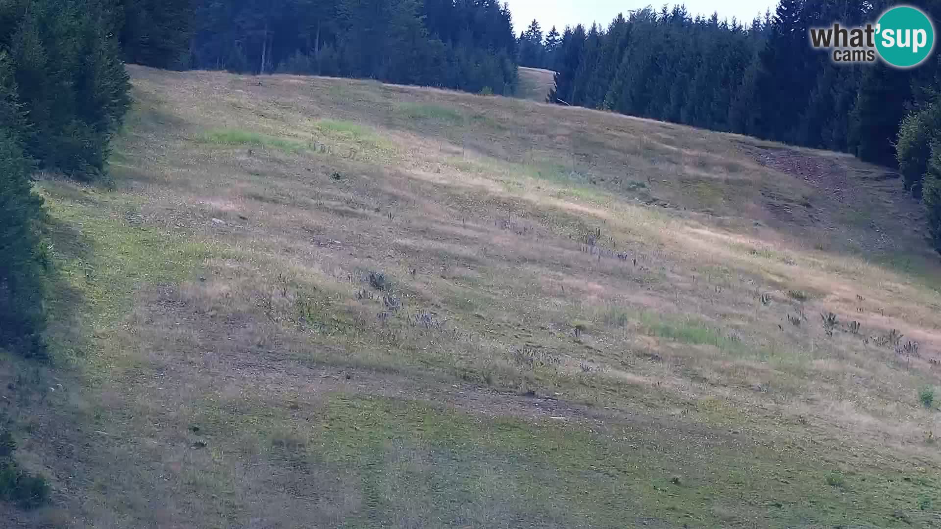 Webcam Lukanja: Rogla Apartments Dandi - Jurgovo