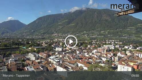 Webcam Meran: Saxifraga