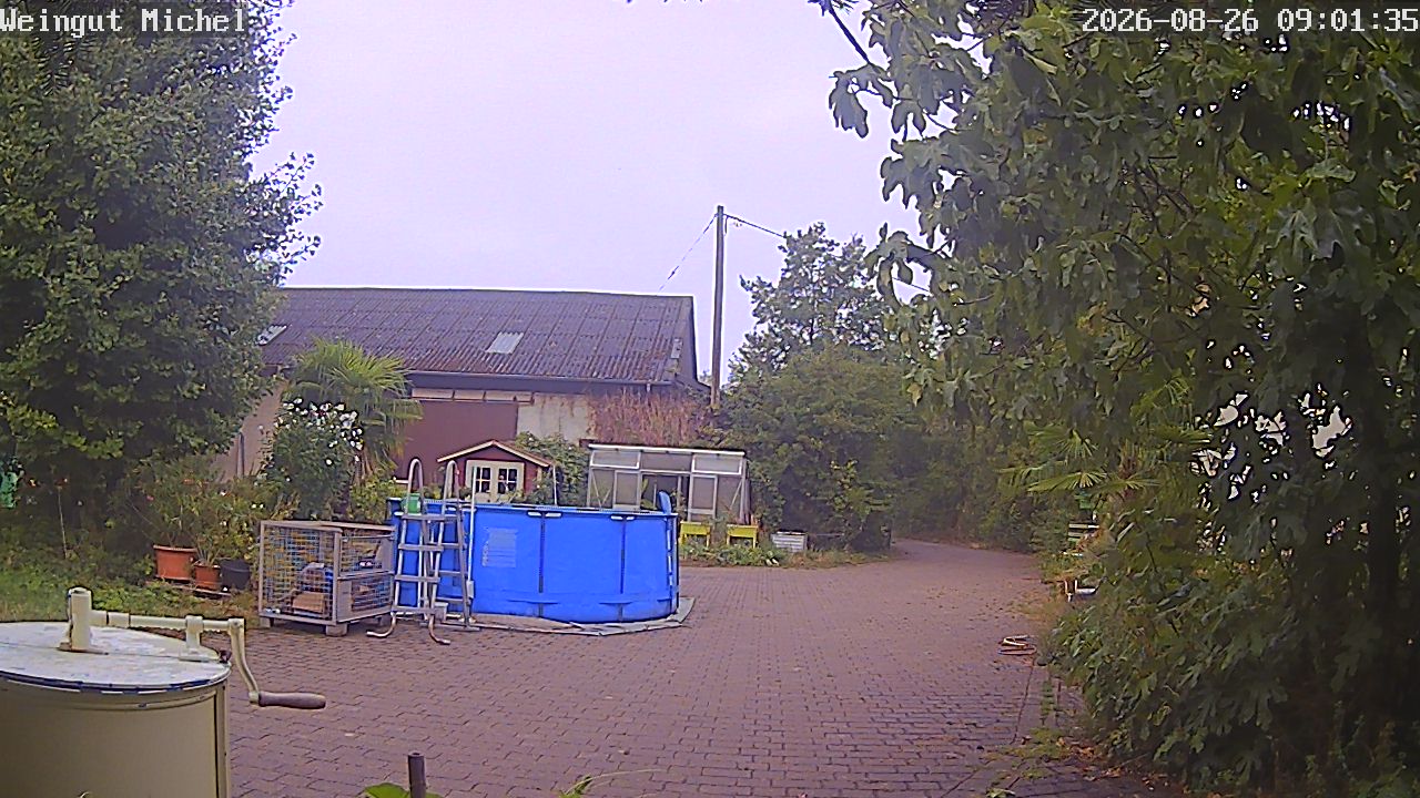 Webcam Gabsheim: Weingut Michel