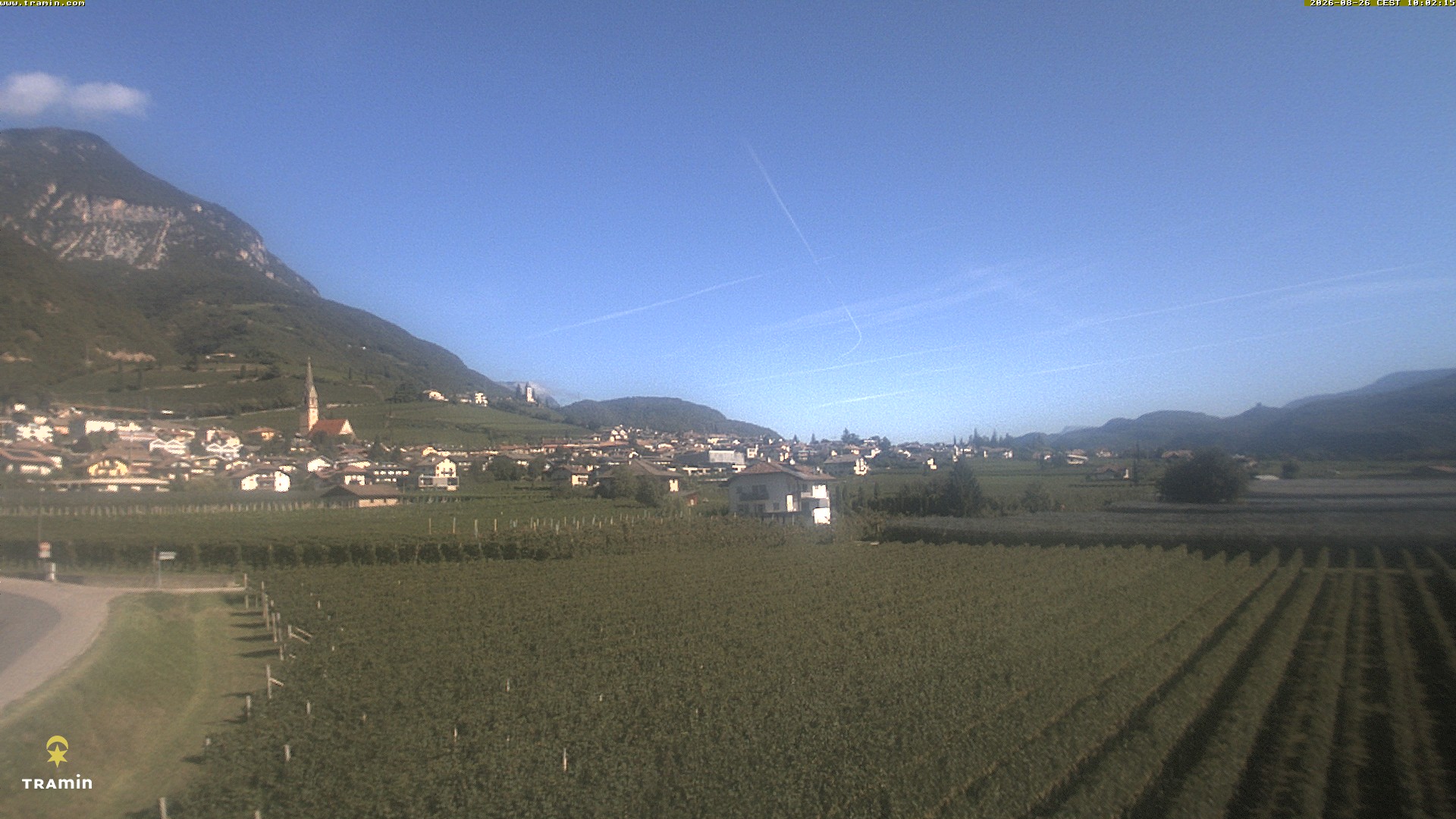 Tramin an der Weinstraße - Webcam Galore