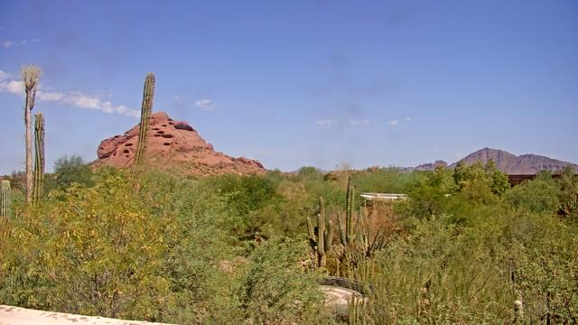 Webcam Phoenix, Arizona: Desert Botanical Garden