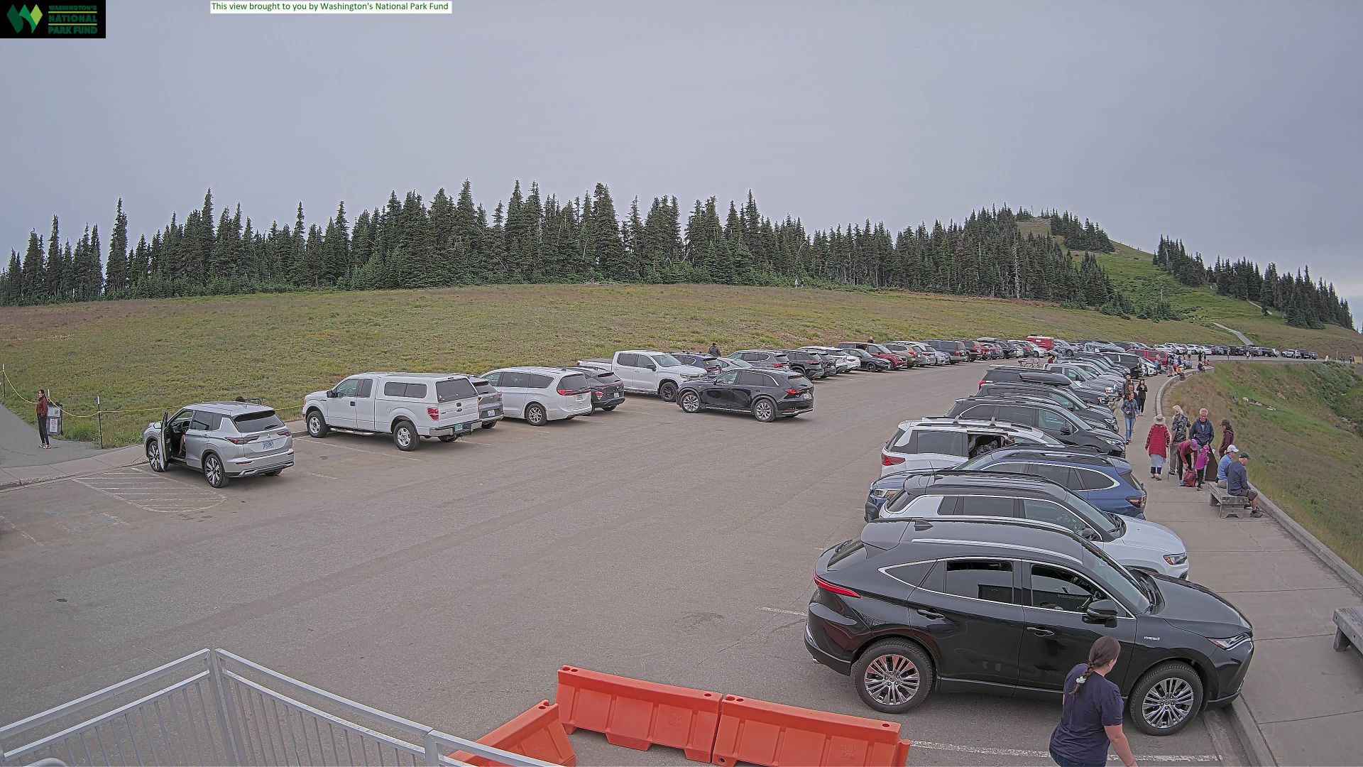 Clallam › North-East: Hurricane Ridge - Ski hill