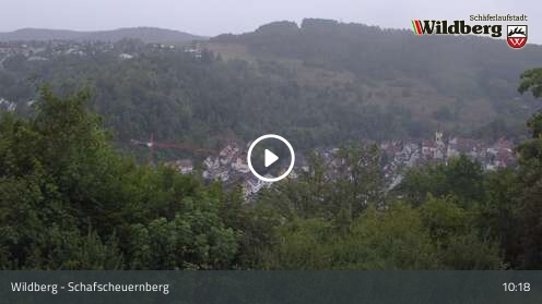 Webcam Wildberg: Schafscheuernberg