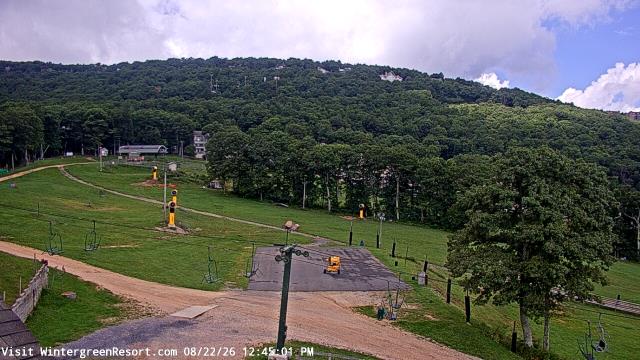 Webcam Nellysford, Virginia: Wintergreen Mtn. at 3650 ft. elev.