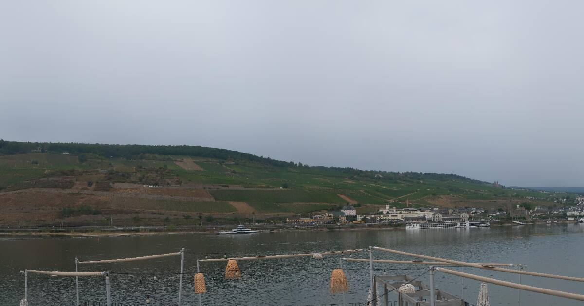 Webcam Bingen am Rhein: PANOMAX Bingen Papa Rhein