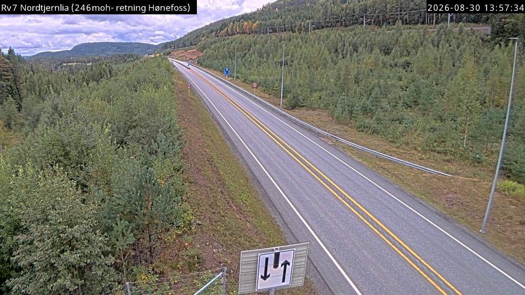 Ringerike: R7 Nordtjernlia (Hønefoss)