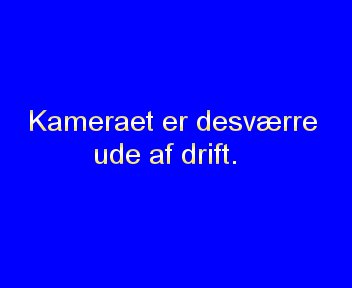 Webcam Utterslev: Grønnemose Alle - Ø