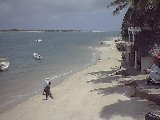 Webcam Lamu: Beach of Lamu