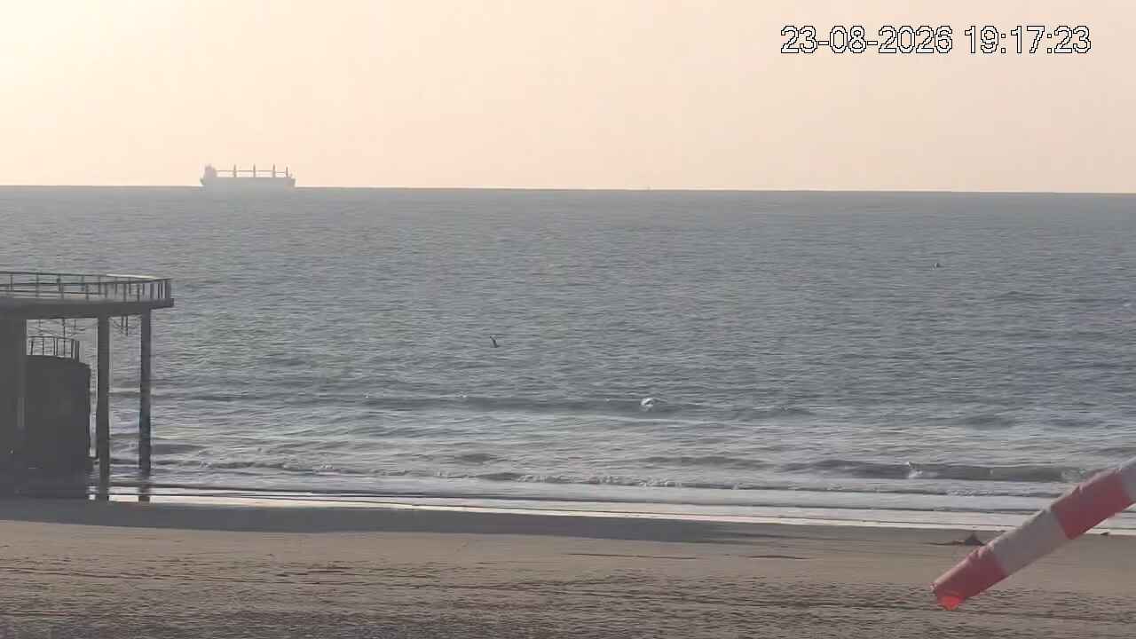 Webcam Blankenberge: Beach and Belgium Pier