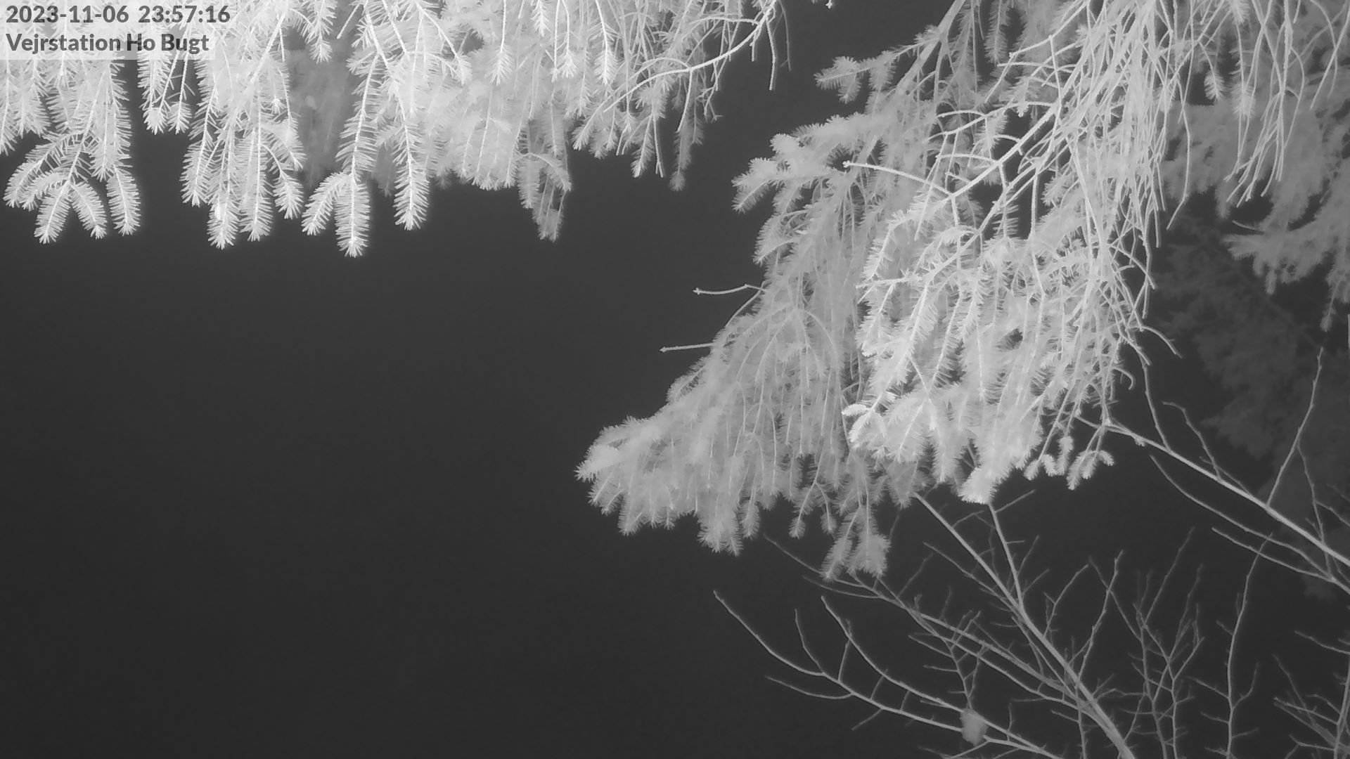 Varde › South-East: Ho Bugt