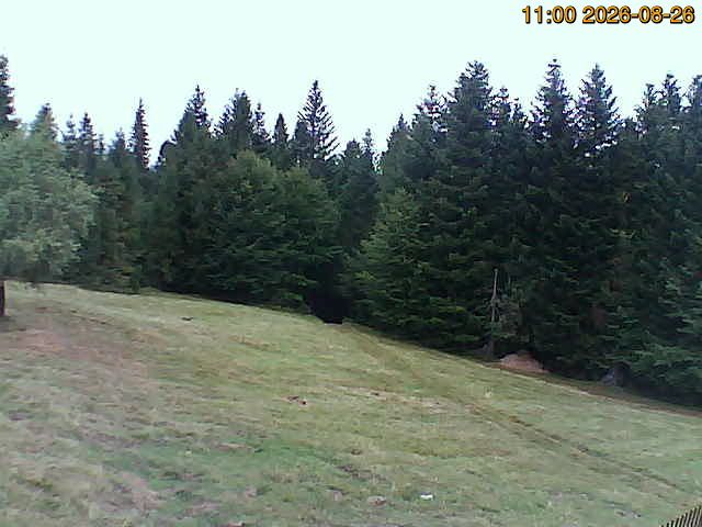Suchoraba › North-East: Suchora - Lesser - Voivodeship