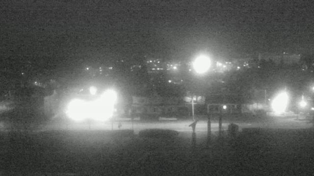 Webcam Martinsville, Virginia: Virginia Museum of Natural History