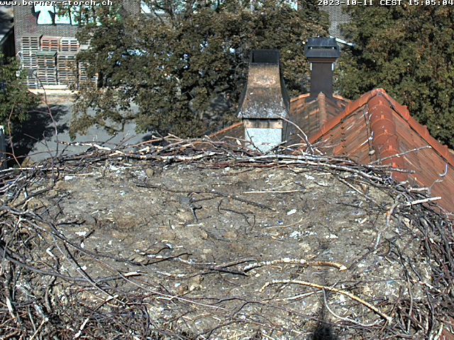 Bern: Storchennest
