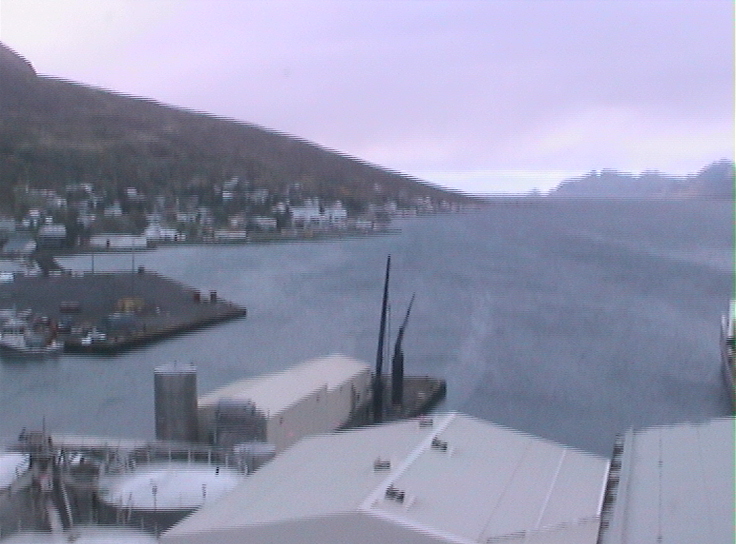 Webcam Eskifjörður: View of the Port