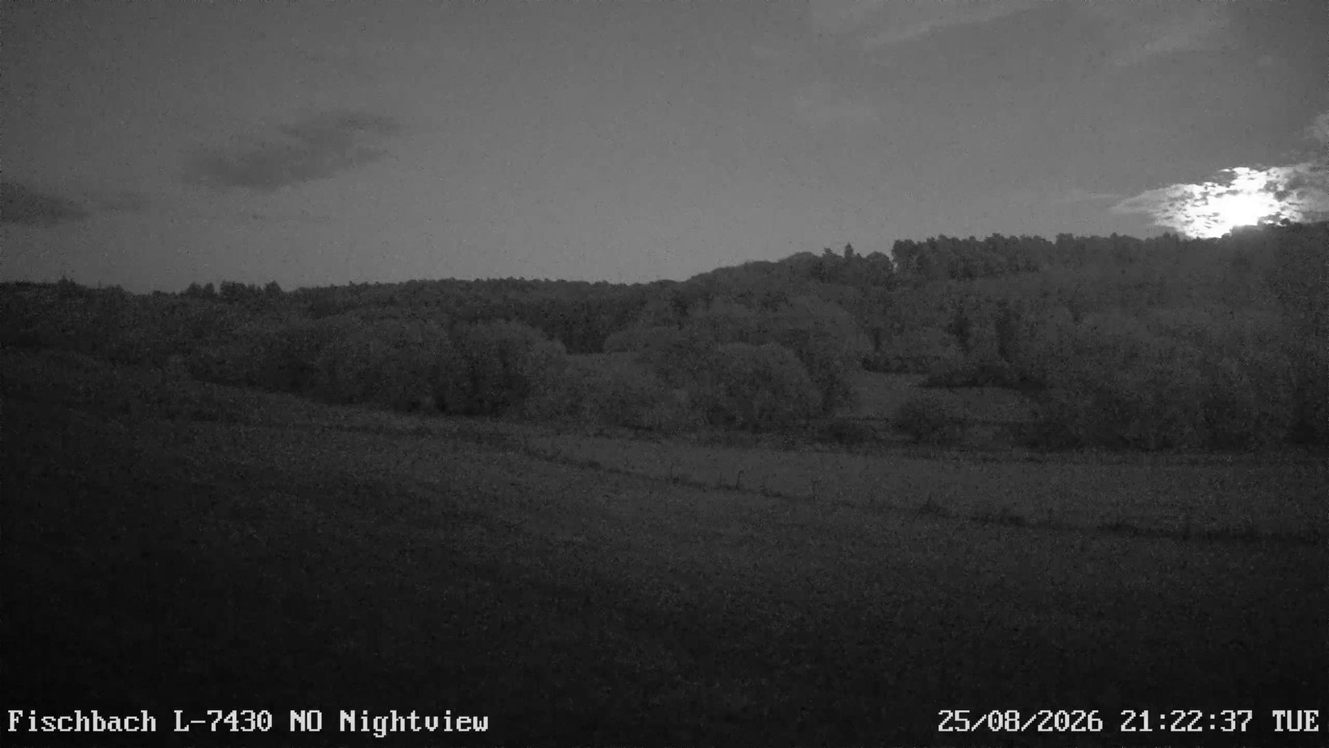 Fischbach › South-East