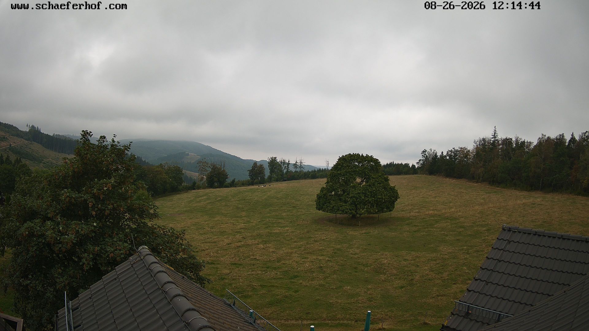 Schmallenberg › West: Schäferhof