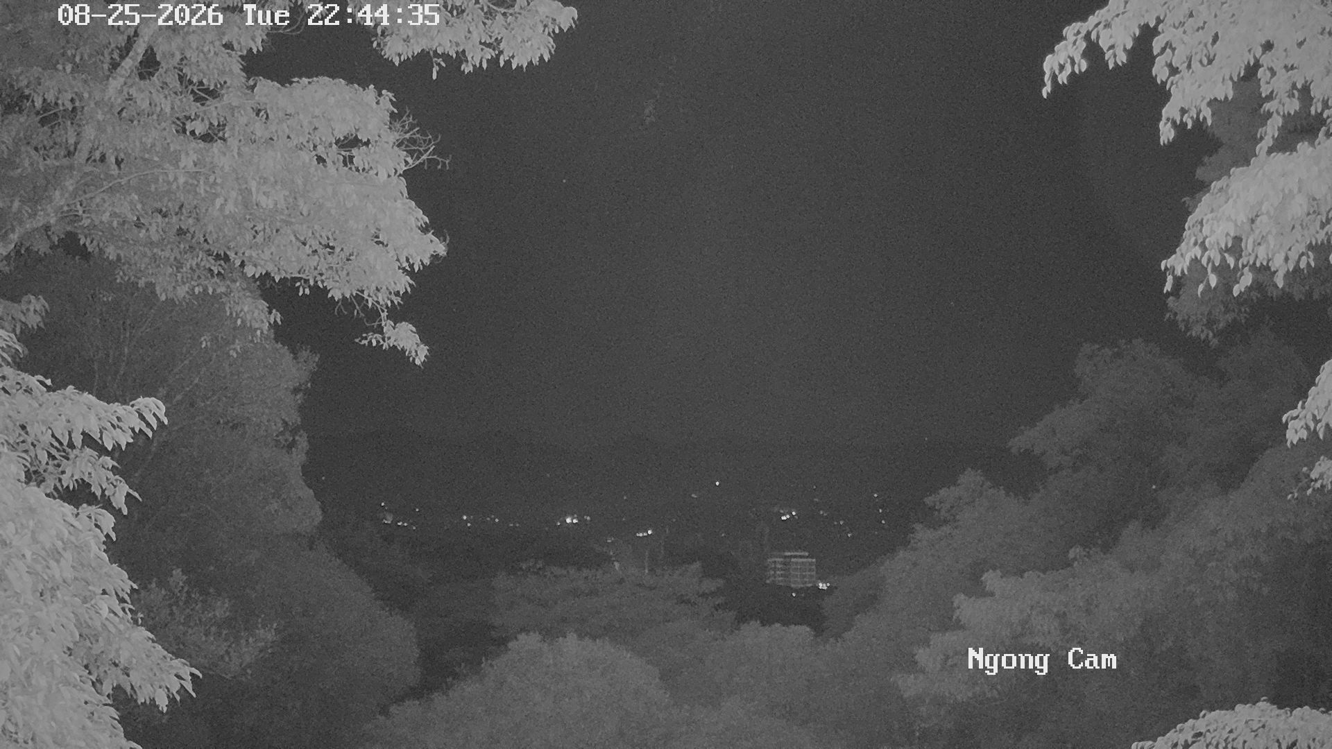 Webcam Mount Longonot: View of the Volcano