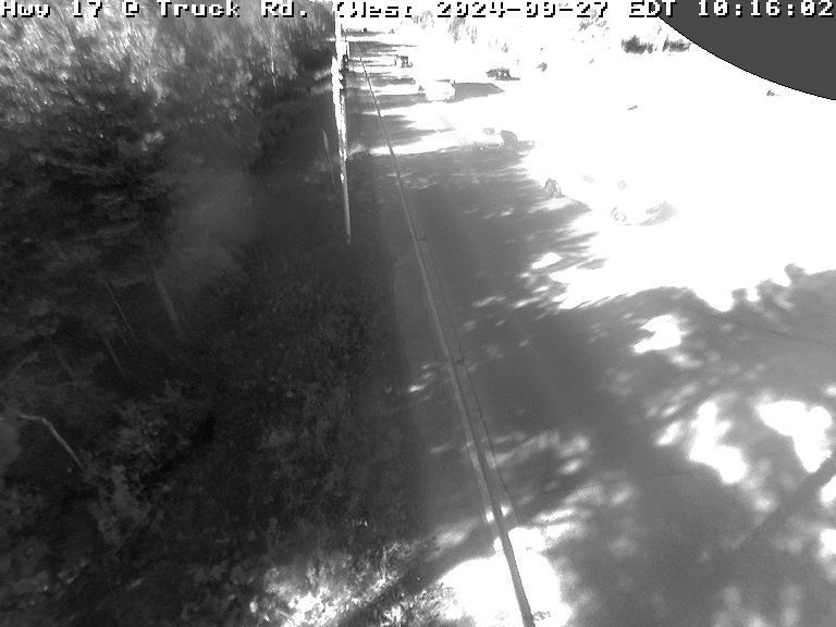 Brassar: Highway 17 near Trunk Road