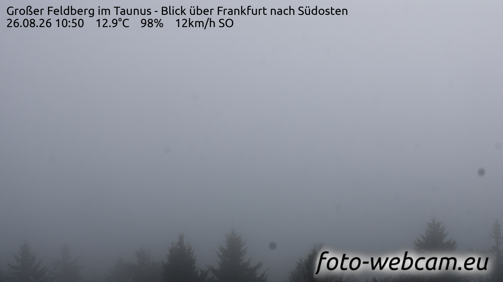 Feldberg - Webcam Galore