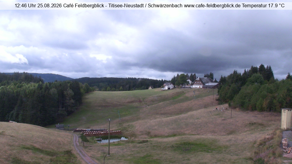 Webcam Titisee-Neustadt: Feldberg-View
