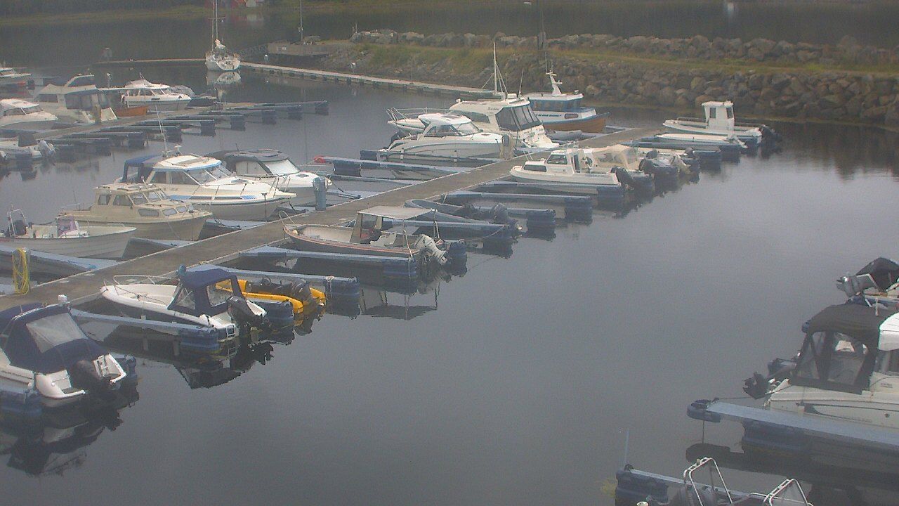 Elnesvagen: havn