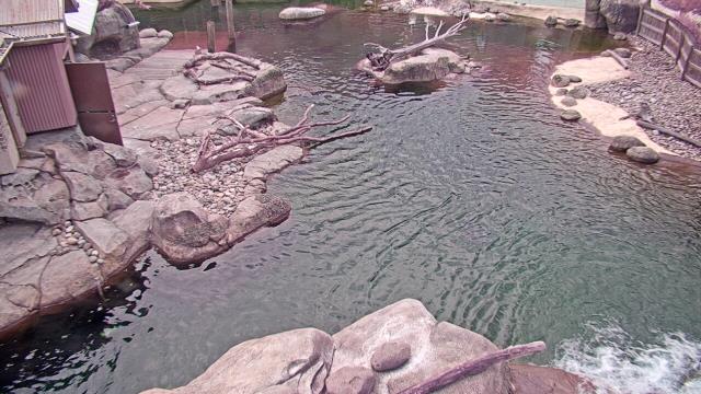 Webcam Baltimore, Maryland: Baltimore Zoo