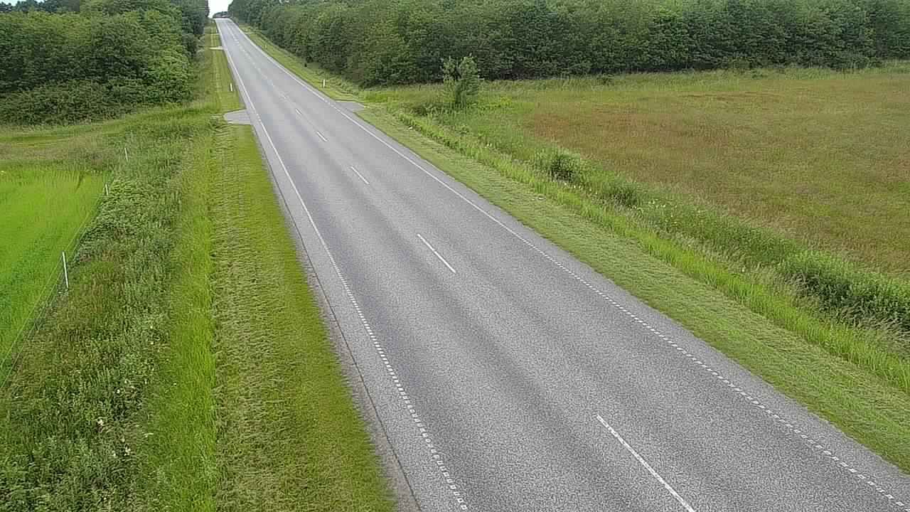 Skraem › West: Rute 11 Fjerritslev V
