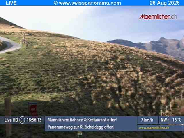 Webcam Männlichen: Several Views