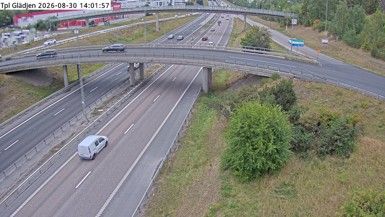 Bisslinge: Tpl Glädjen