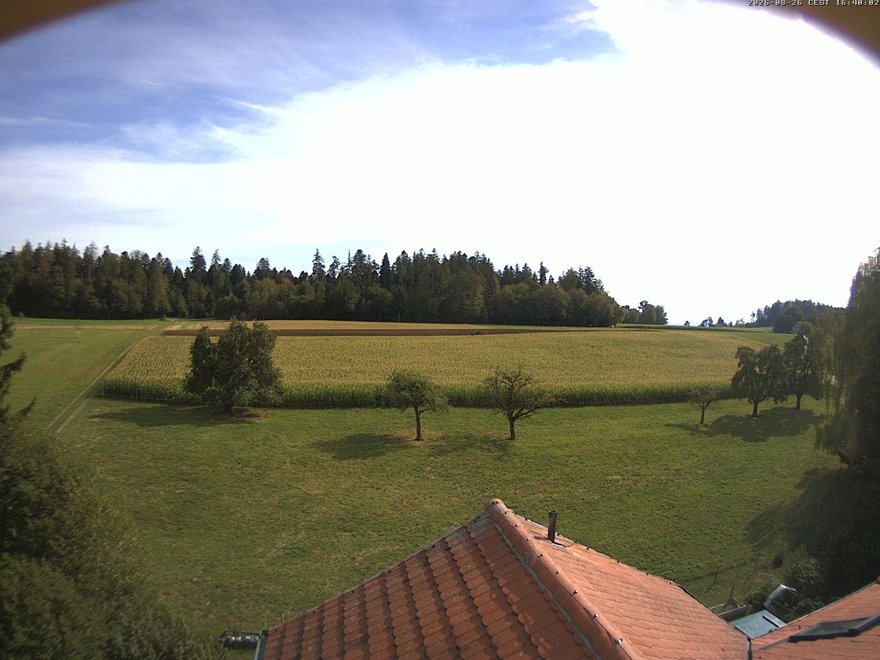 Homburg › South: Altes Schulhaus Salen