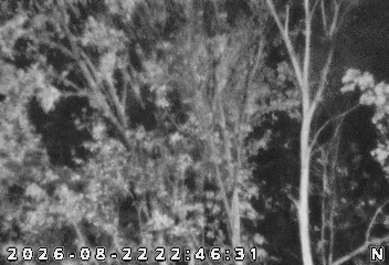 Ansley Acres: I-69: 1-069-307-6-1 LEESBURG RD