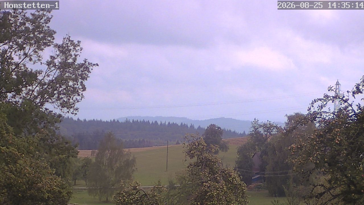 Honstetten