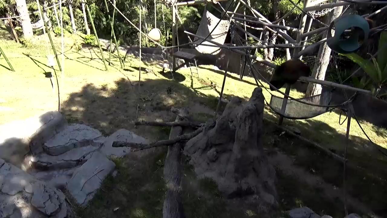 San Diego, California - Webcam Galore