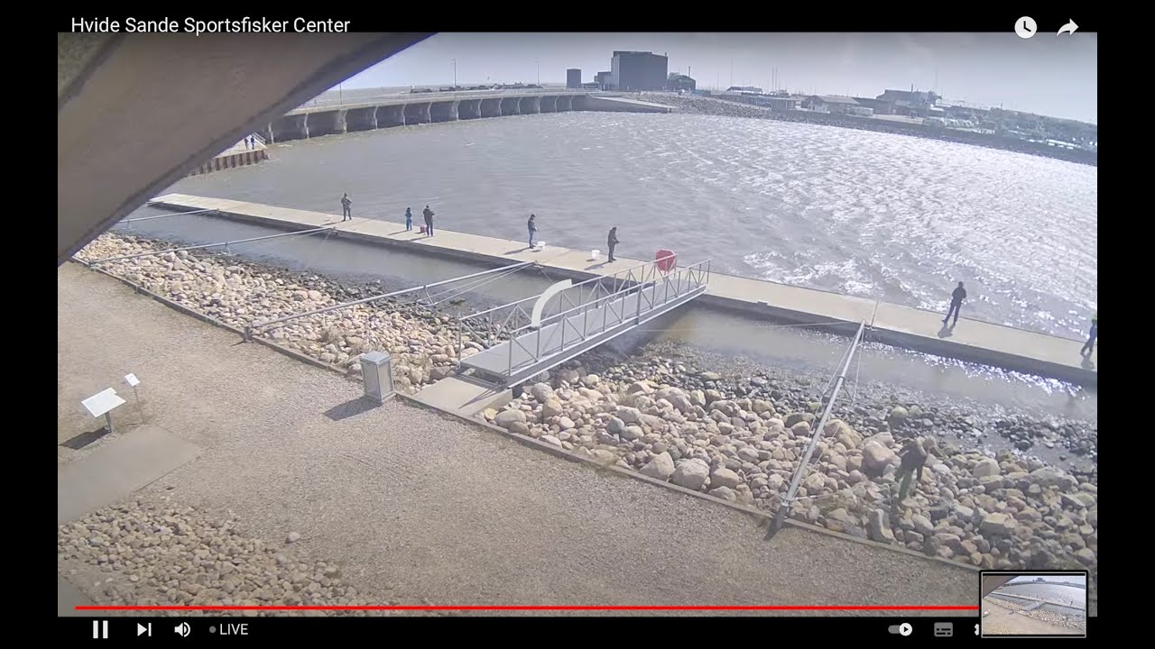 Webcam Hvide Sande: Hvide Sande Lock