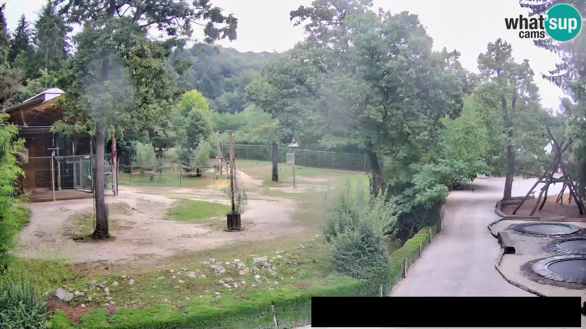 Ljubljana - Webcam Galore