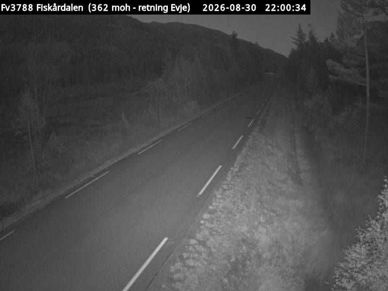 Espelid: F3788 Fiskårdalen (Evje)