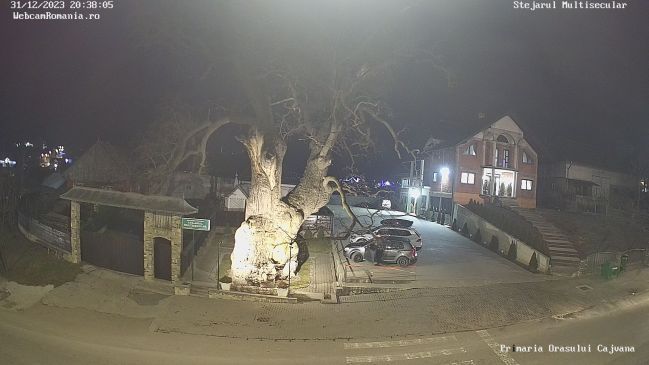 Cajvana