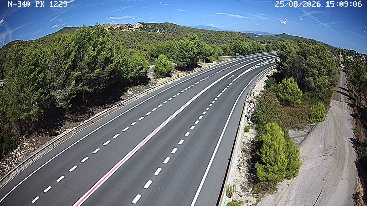 Cervello