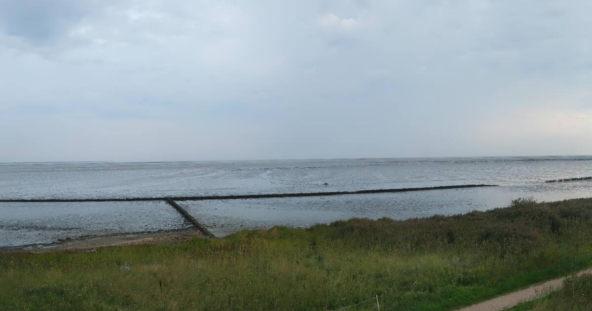 Nebel (Amrum) - Webcam Galore