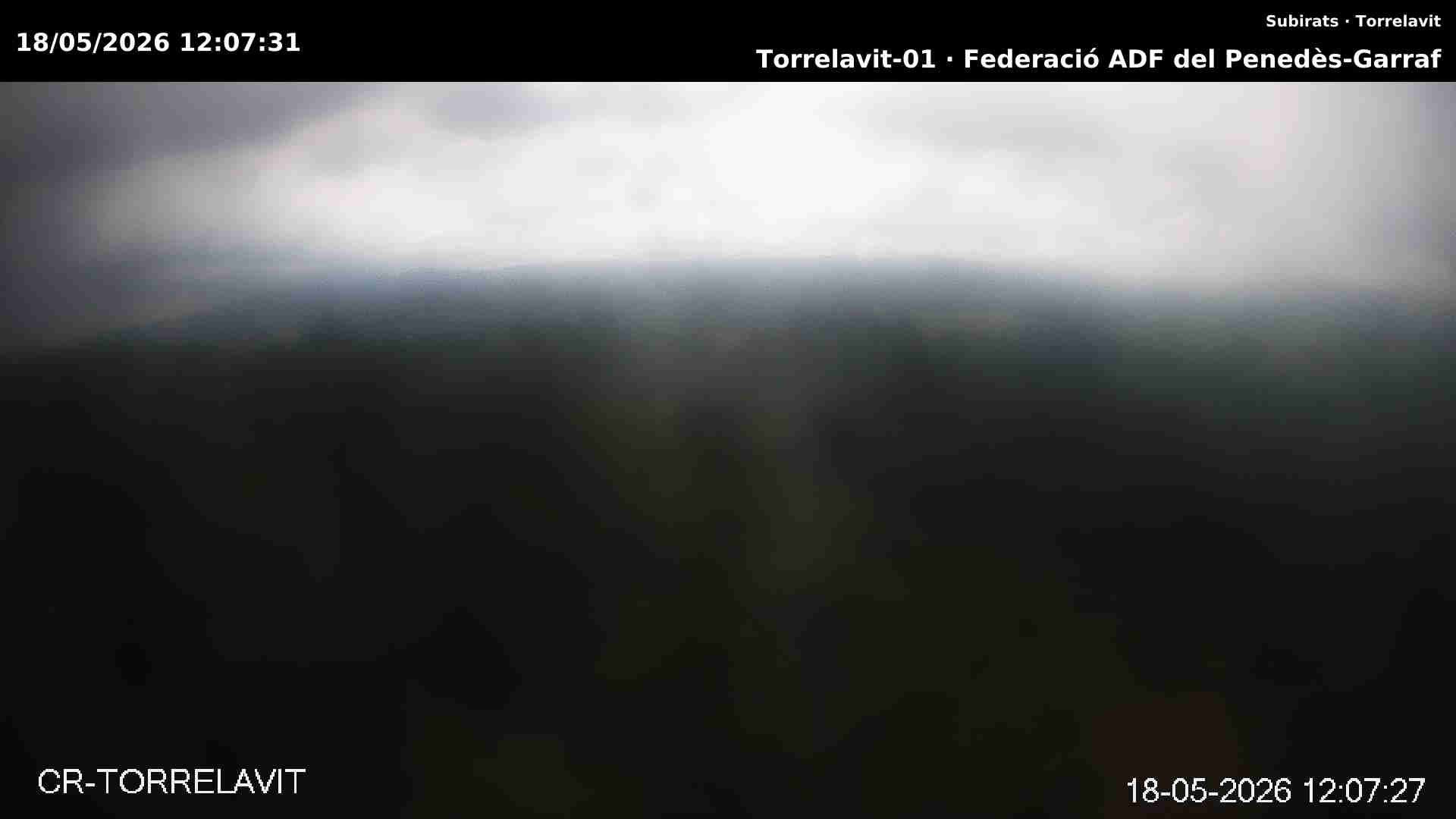 Torrelavit
