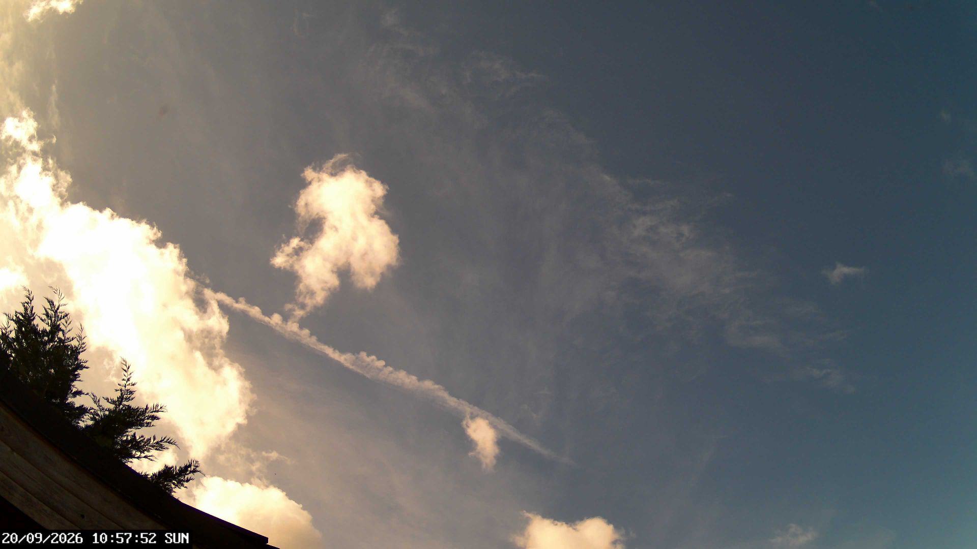 Wrexham › South-West: Rhostyllen