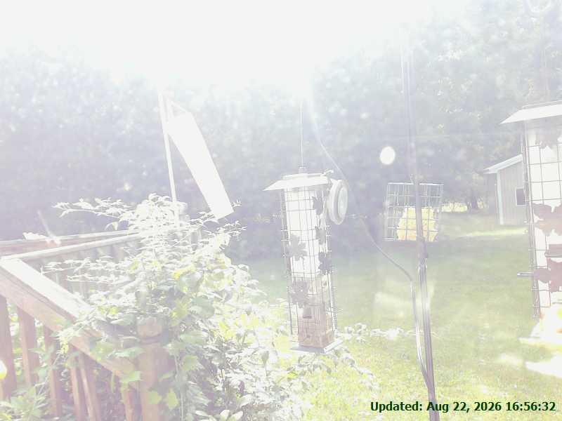 Webcam Central Lake, Michigan: KenCam