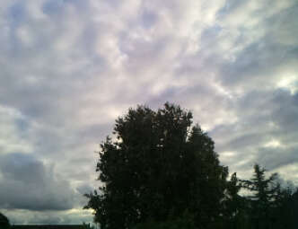 Webcam Emden: Weathercam Emden
