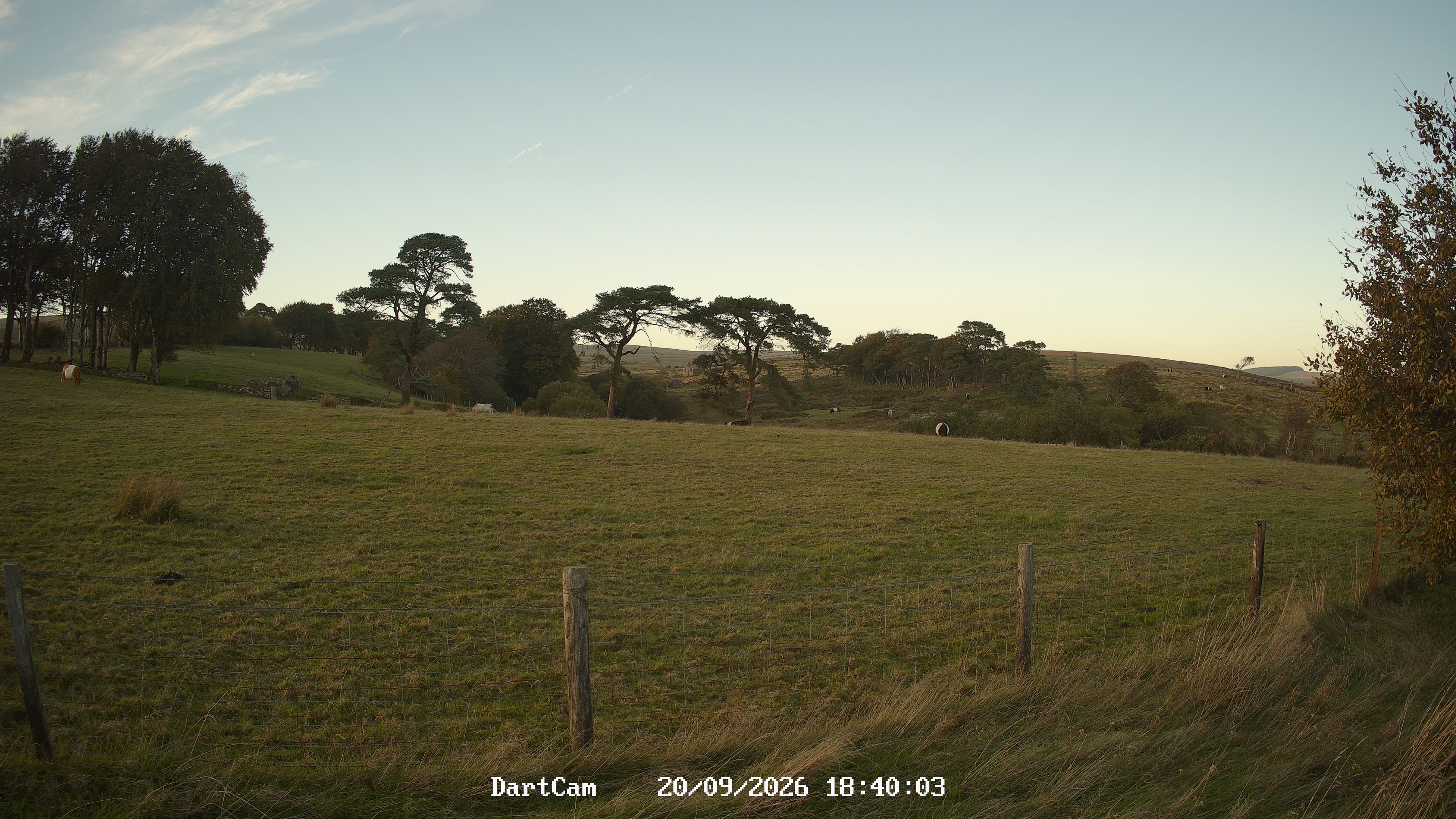 Webcam Dartmoor: Dartmoor Cam