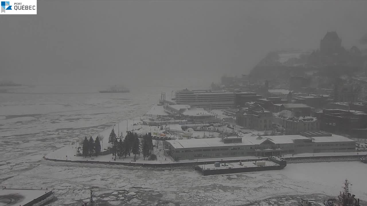 Webcam Québec: Port de Québec