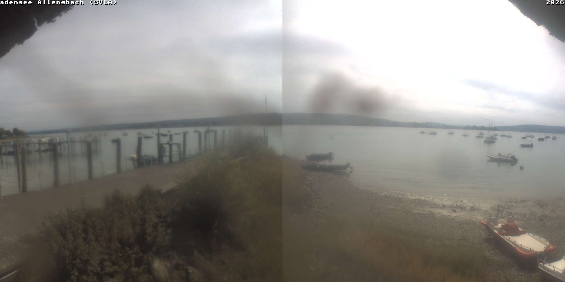 Webcam Allensbach: View of the Gnadensee