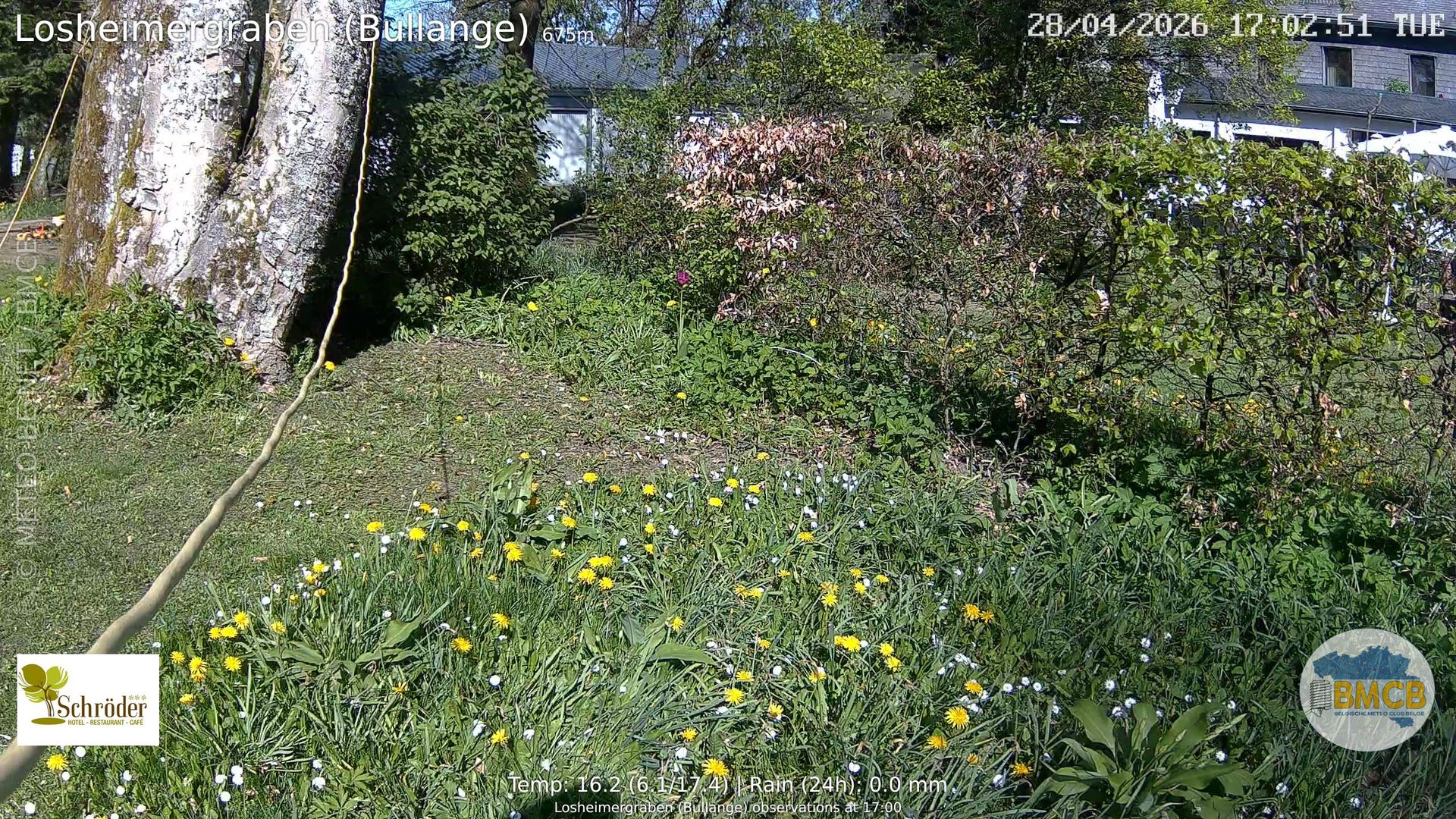 Bullingen