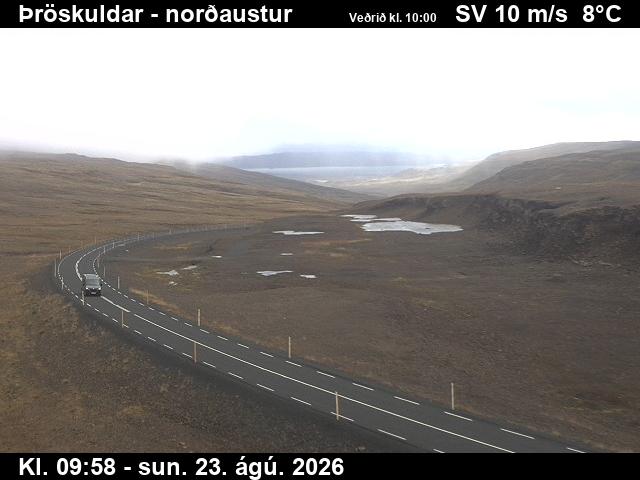 Þröskuldar - Webcam Galore